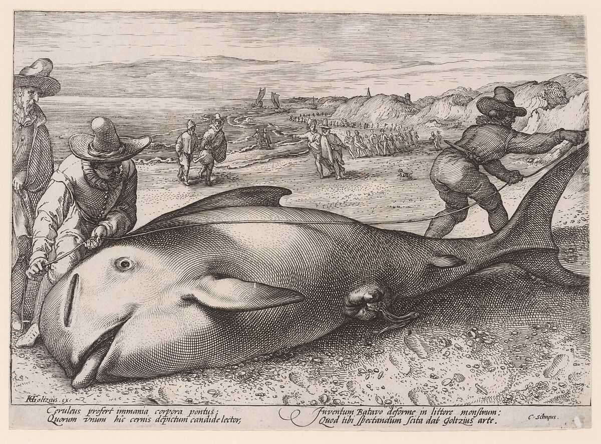 A beached pilot whale near Zandvoort on 21 November, 1594, Workshop of Hendrick Goltzius (Netherlandish, Mühlbracht 1558–1617 Haarlem), Etching and engraving 